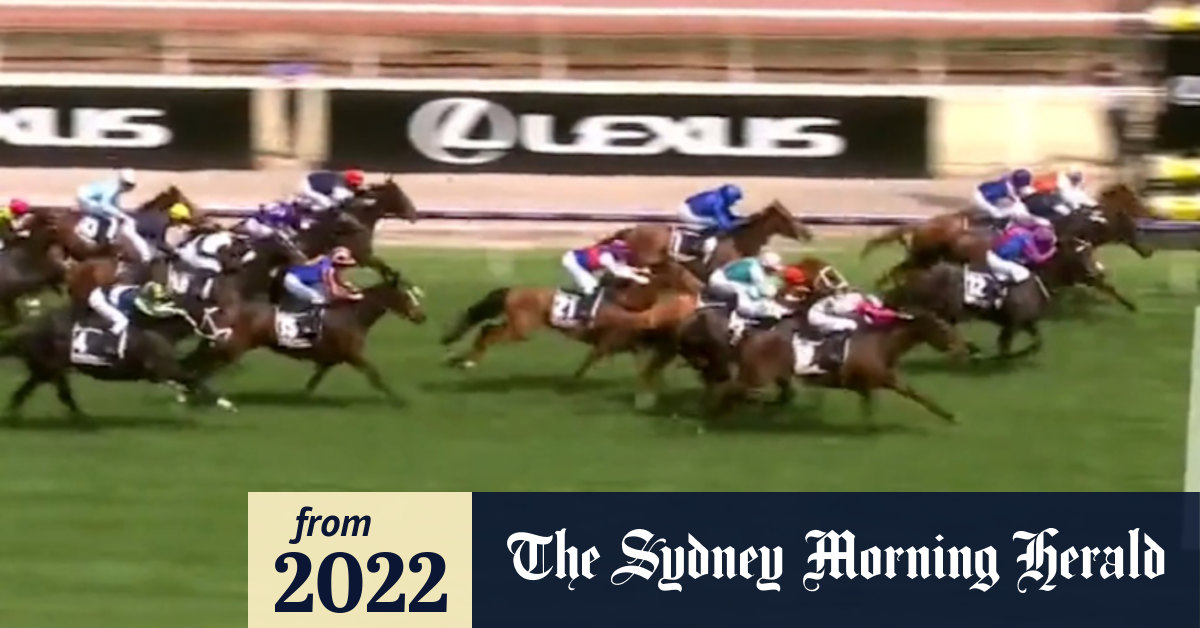 Video Melbourne Cup field in danger of reduction